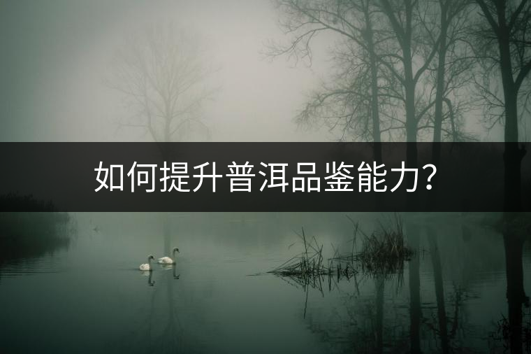 如何提升普洱品鑒能力？