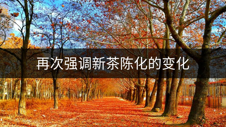再次強調新茶陳化的變化 再次強調新茶陳化的變化