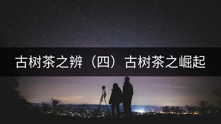 古樹(shù)茶之辨(四)古樹(shù)茶之崛起 古樹(shù)茶之辨(四)古樹(shù)茶之崛起