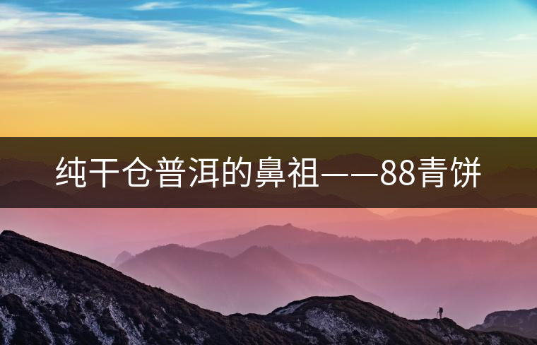純干倉(cāng)普洱的鼻祖——88青餅 純干倉(cāng)普洱的鼻祖——88青餅