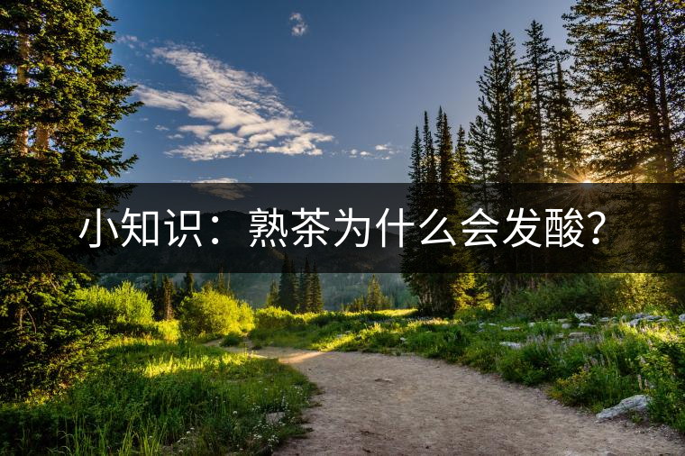 小知識:熟茶為什么會發酸? 小知識:熟茶為什么會發酸?