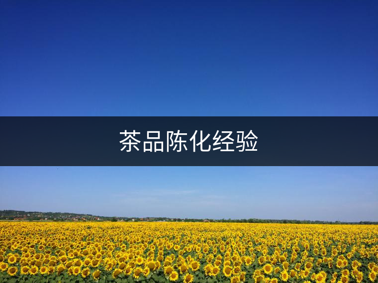 茶品陳化經驗 茶品陳化經驗