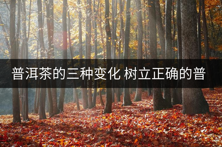 普洱茶的三種變化 樹立正確的普洱茶觀