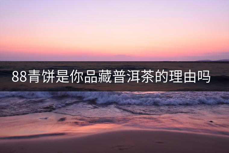 88青餅是你品藏普洱茶的理由嗎? 88青餅是你品藏普洱茶的理由嗎?