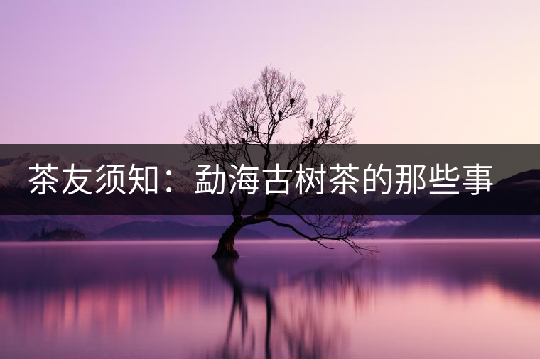 茶友須知:勐海古樹茶的那些事兒 茶友須知:勐海古樹茶的那些事兒