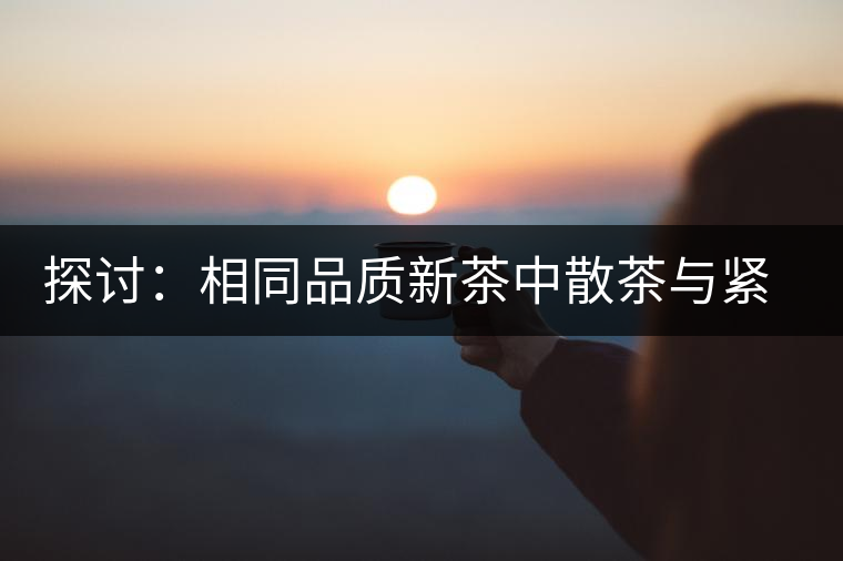 探討：相同品質新茶中散茶與緊壓茶哪個好？