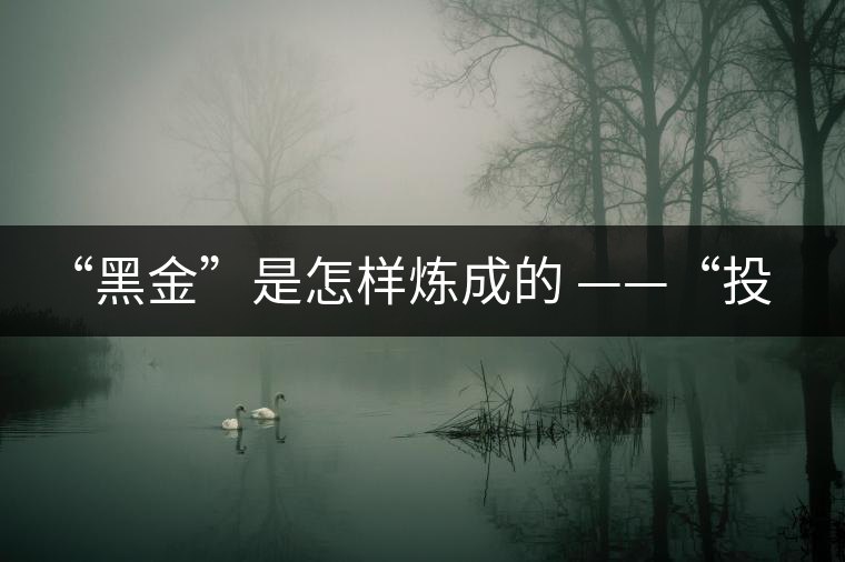 “黑金”是怎樣煉成的 ——“投資”普洱之“品種”