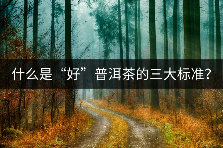 什么是“好”普洱茶的三大標準？