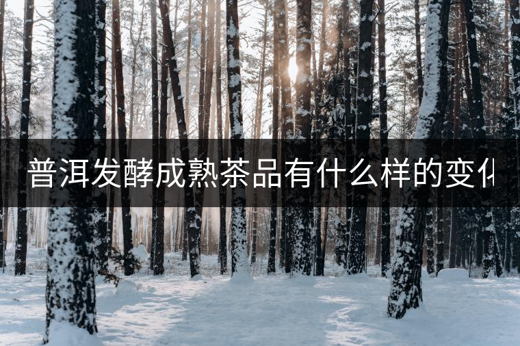 普洱發酵成熟茶品有什么樣的變化？