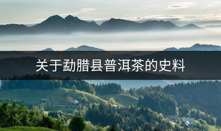 關于勐臘縣普洱茶的史料