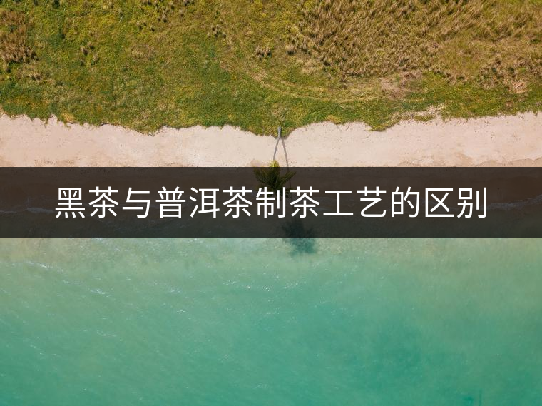 黑茶與普洱茶制茶工藝的區別