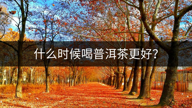 什么時候喝普洱茶更好? 什么時候喝普洱茶更好?