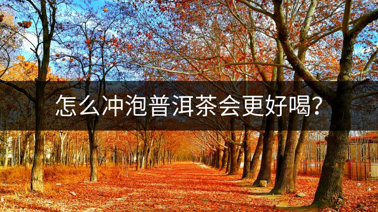 怎么沖泡普洱茶會更好喝? 怎么沖泡普洱茶會更好喝?