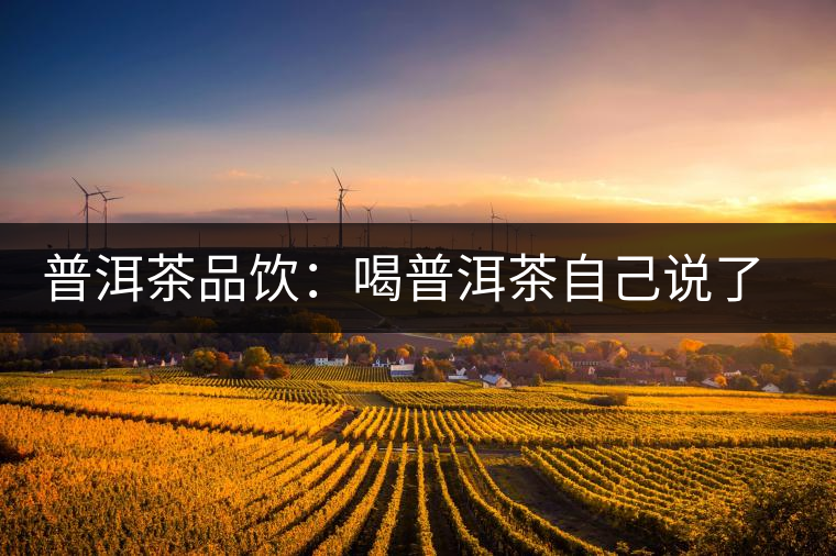 普洱茶品飲:喝普洱茶自己說了算 普洱茶品飲:喝普洱茶自己說了算