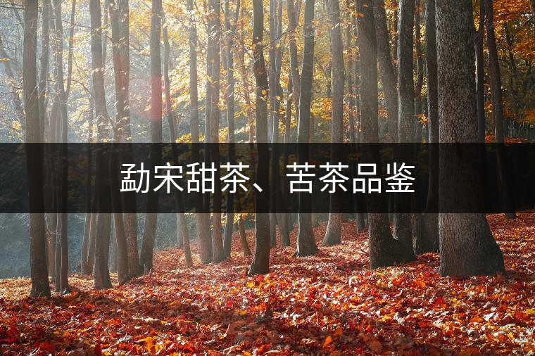 勐宋甜茶、苦茶品鑒 勐宋甜茶、苦茶品鑒