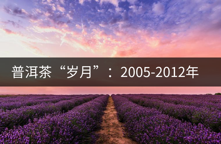 普洱茶“歲月”:2005-2012年間的茶 普洱茶“歲月”:2005-2012年間的茶