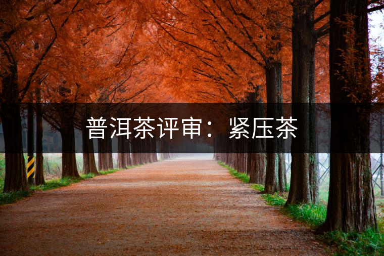 普洱茶評(píng)審:緊壓茶 普洱茶評(píng)審:緊壓茶