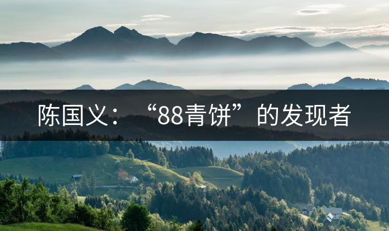 陳國義：“88青餅”的發現者