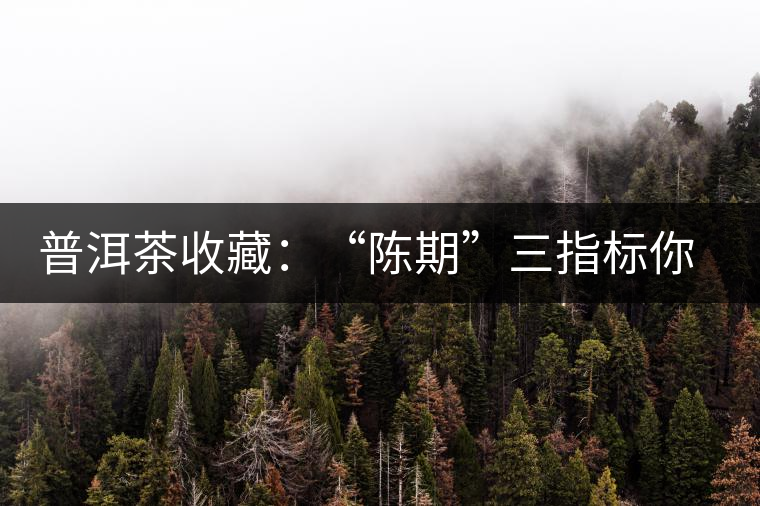 普洱茶收藏:“陳期”三指標(biāo)你知道嗎? 普洱茶收藏:“陳期”三指標(biāo)你知道嗎?