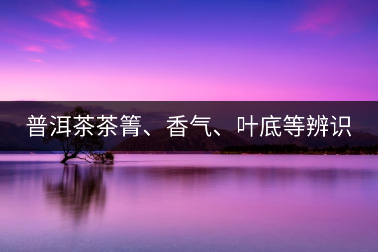 普洱茶茶箐、香氣、葉底等辨識