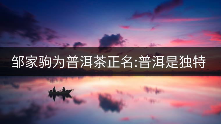 鄒家駒為普洱茶正名:普洱是獨特茶類 鄒家駒為普洱茶正名:普洱是獨特茶類