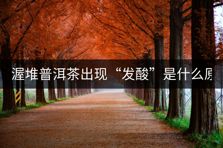 渥堆普洱茶出現“發酸”是什么原因? 渥堆普洱茶出現“發酸”是什么原因?