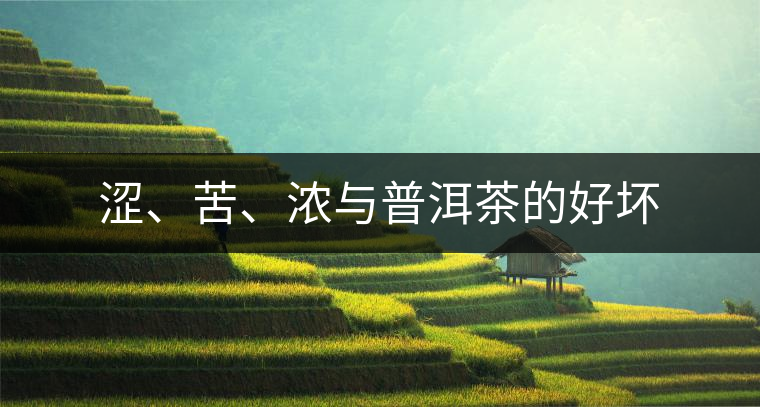 澀、苦、濃與普洱茶的好壞 澀、苦、濃與普洱茶的好壞