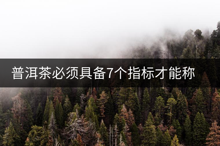 普洱茶必須具備7個指標才能稱上優質茶葉