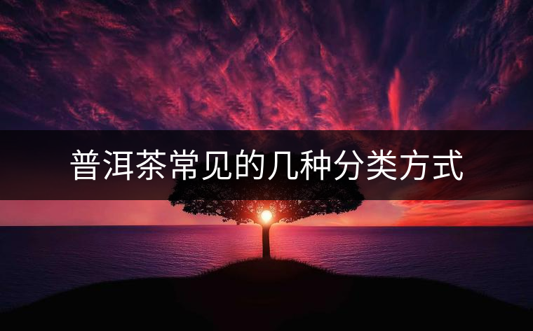 普洱茶常見(jiàn)的幾種分類(lèi)方式 普洱茶常見(jiàn)的幾種分類(lèi)方式