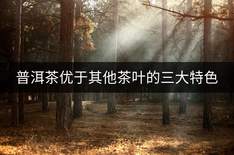 普洱茶優于其他茶葉的三大特色