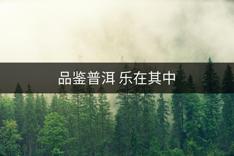 品鑒普洱 樂在其中 品鑒普洱 樂在其中