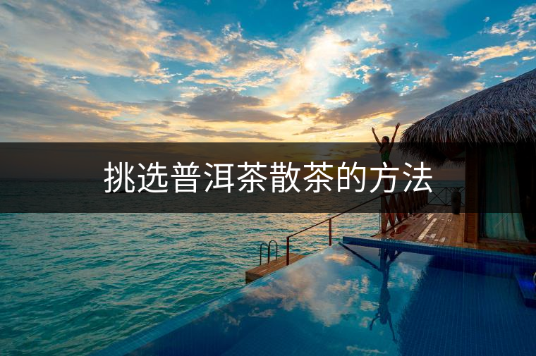 挑選普洱茶散茶的方法 挑選普洱茶散茶的方法
