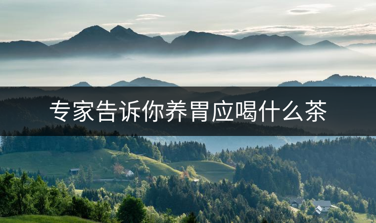 專家告訴你養胃應喝什么茶 專家告訴你養胃應喝什么茶