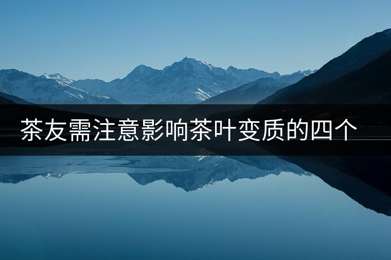 茶友需注意影響茶葉變質的四個環境條件