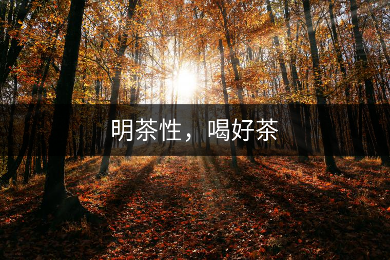 明茶性，喝好茶