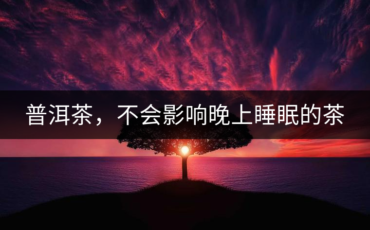 普洱茶,不會影響晚上睡眠的茶 普洱茶,不會影響晚上睡眠的茶