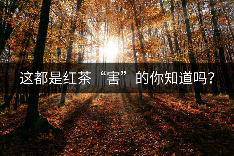 這都是紅茶“害”的你知道嗎？