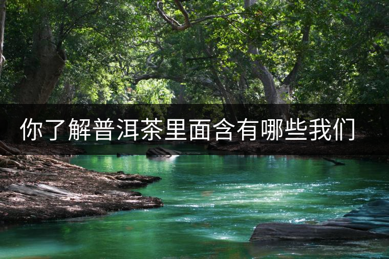 你了解普洱茶里面含有哪些我們人體必備的元素嗎? 你了解普洱茶里面含有哪些我們人體必備的元素嗎?