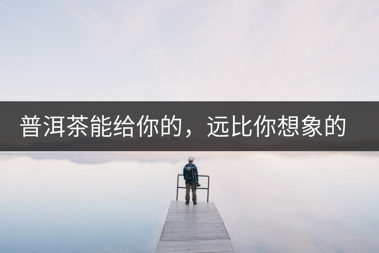 普洱茶能給你的,遠(yuǎn)比你想象的要多 普洱茶能給你的,遠(yuǎn)比你想象的要多