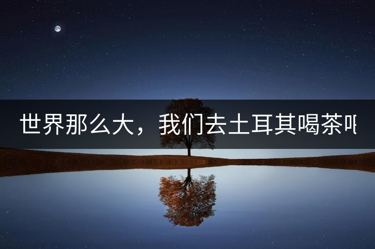 世界那么大,我們去土耳其喝茶吧! 世界那么大,我們去土耳其喝茶吧!