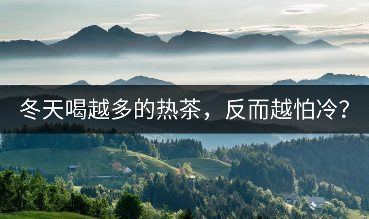 冬天喝越多的熱茶，反而越怕冷？