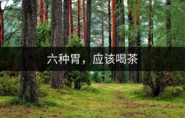 六種胃，應(yīng)該喝茶