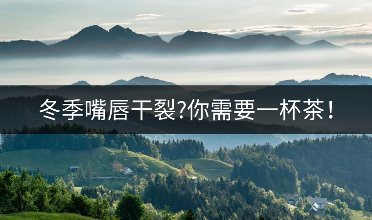 冬季嘴唇干裂?你需要一杯茶! 冬季嘴唇干裂?你需要一杯茶!