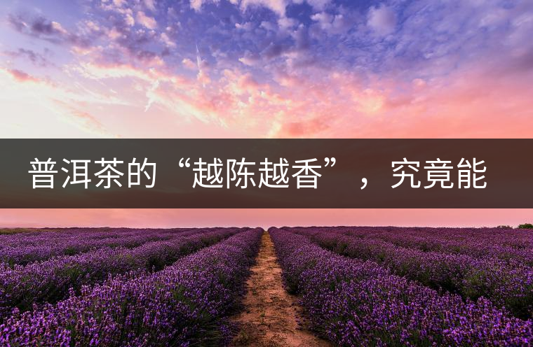 普洱茶的“越陳越香”,究竟能“陳”多久 普洱茶的“越陳越香”,究竟能“陳”多久