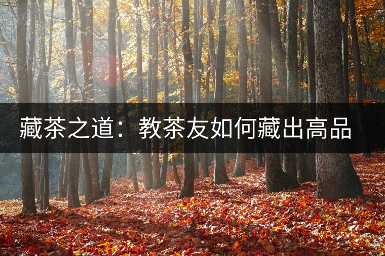 藏茶之道:教茶友如何藏出高品質普洱茶 藏茶之道:教茶友如何藏出高品質普洱茶