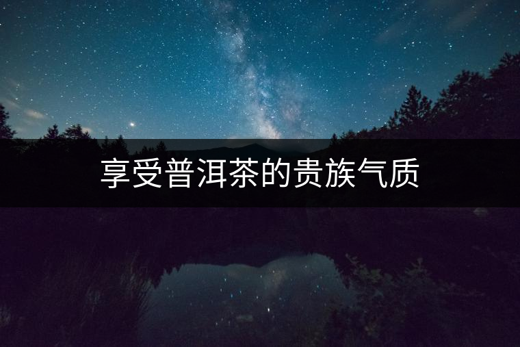 享受普洱茶的貴族氣質