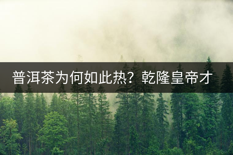 普洱茶為何如此熱?乾隆皇帝才是最大推手 普洱茶為何如此熱?乾隆皇帝才是最大推手