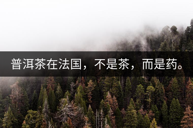 普洱茶在法國，不是茶，而是藥。