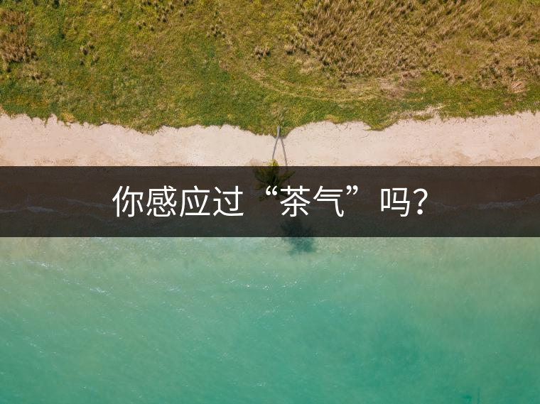 你感應過“茶氣”嗎? 你感應過“茶氣”嗎?