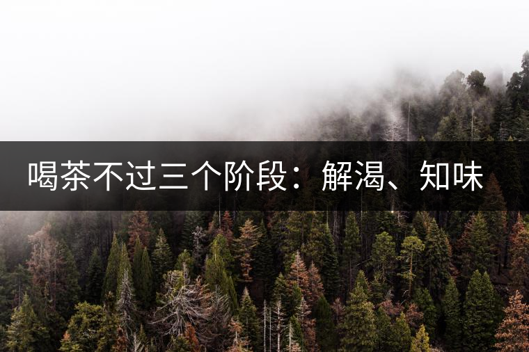 喝茶不過三個階段:解渴、知味、怡情 喝茶不過三個階段:解渴、知味、怡情